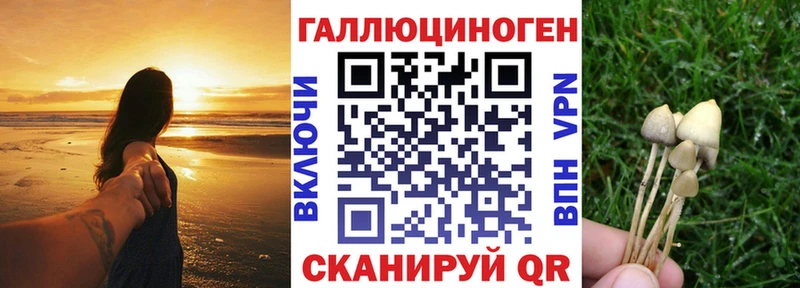 Псилоцибиновые грибы Cubensis  OMG ССЫЛКА  Заволжье 