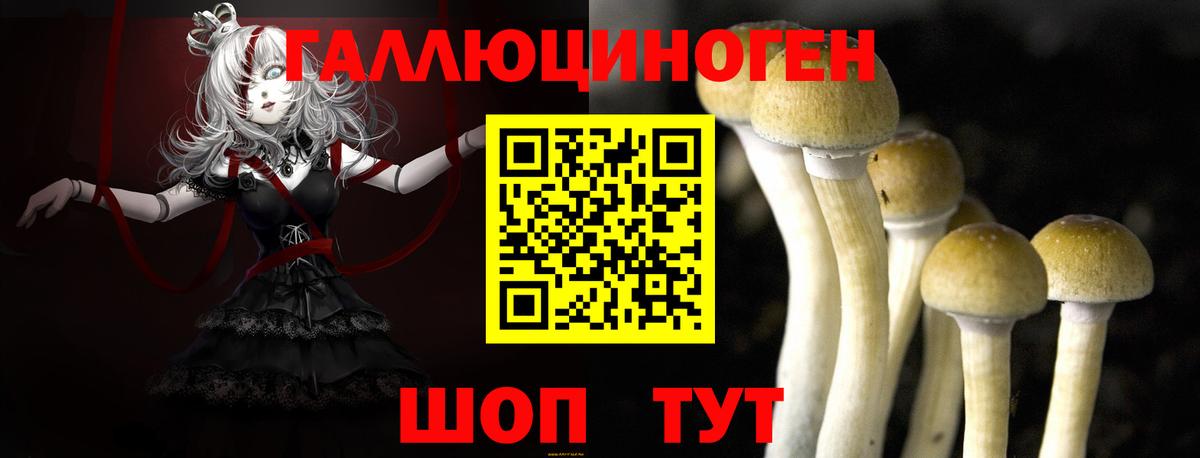Галлюциногенные грибы Magic Shrooms  Вход с VPN  Заволжье 